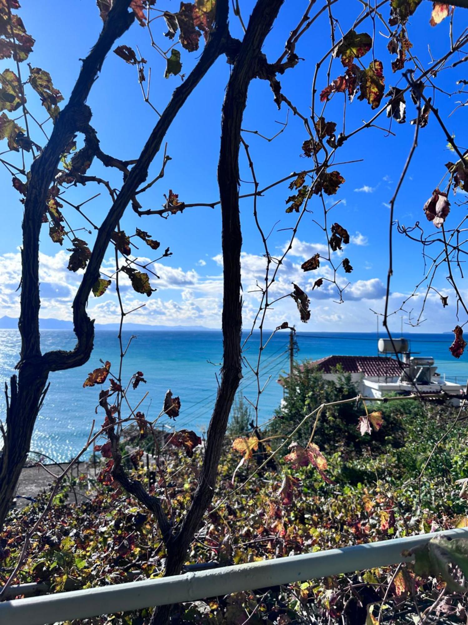 Sevilia Rooms Qeparo Bagian luar foto