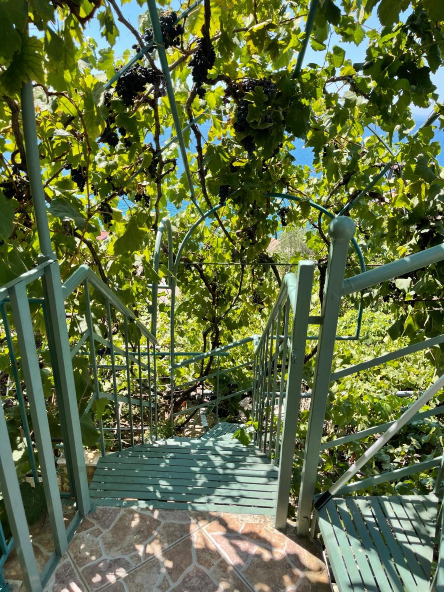 Sevilia Rooms Qeparo Bagian luar foto