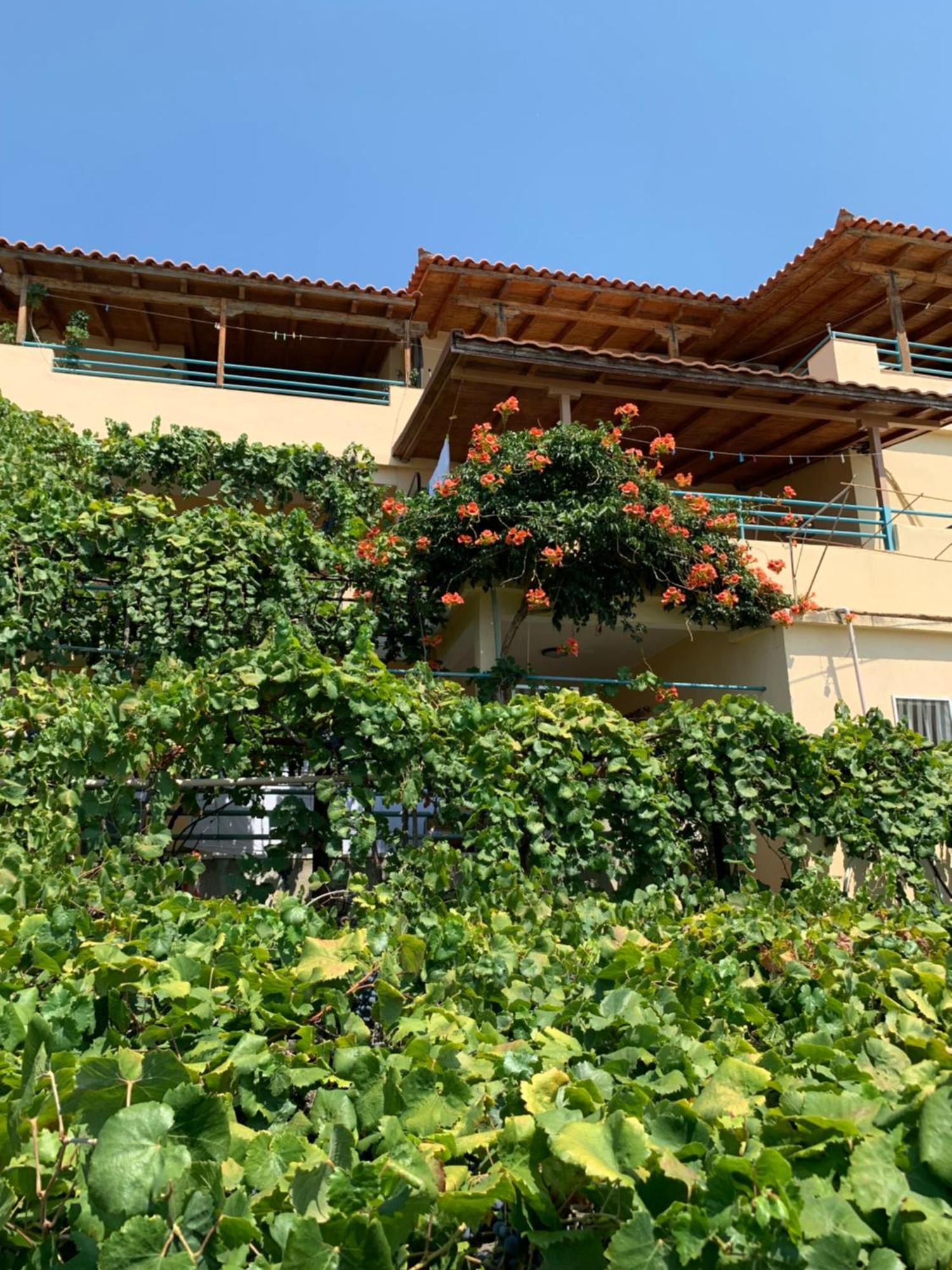 Sevilia Rooms Qeparo Bagian luar foto